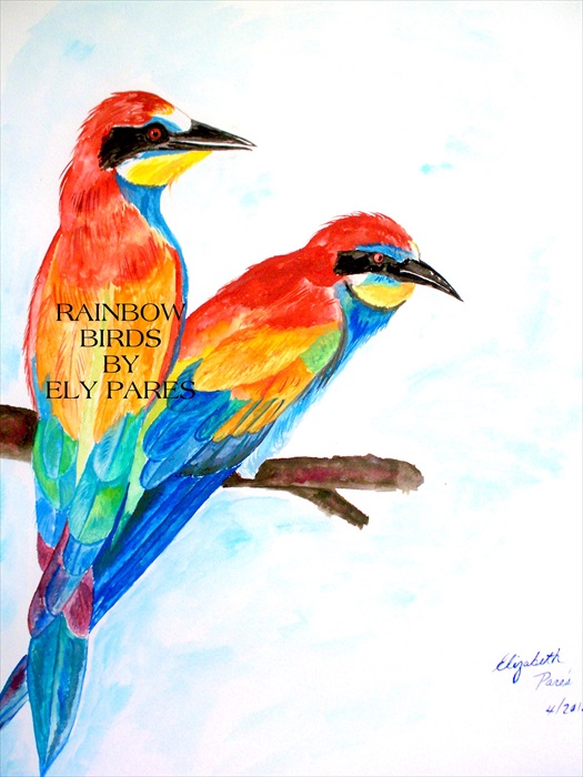 Rainbow Birds 8 X 10 Print Signed And Numbered.