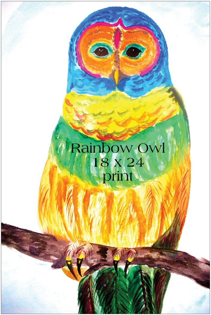 Large 18 X 24 Rainbow Owl Print